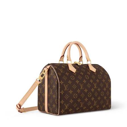 Sac à main Speedy 30 Louis Vuitton - Toile Monogram